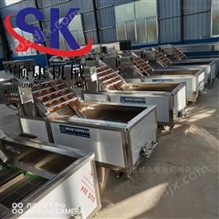 果蔬清洗機(jī) 果蔬加工成套設(shè)備