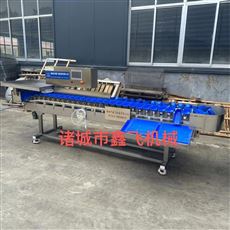 全自動智能稱重果蔬分選機(jī)